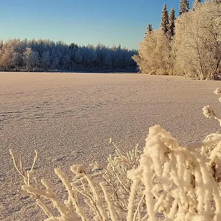 Aurora Hut Salla